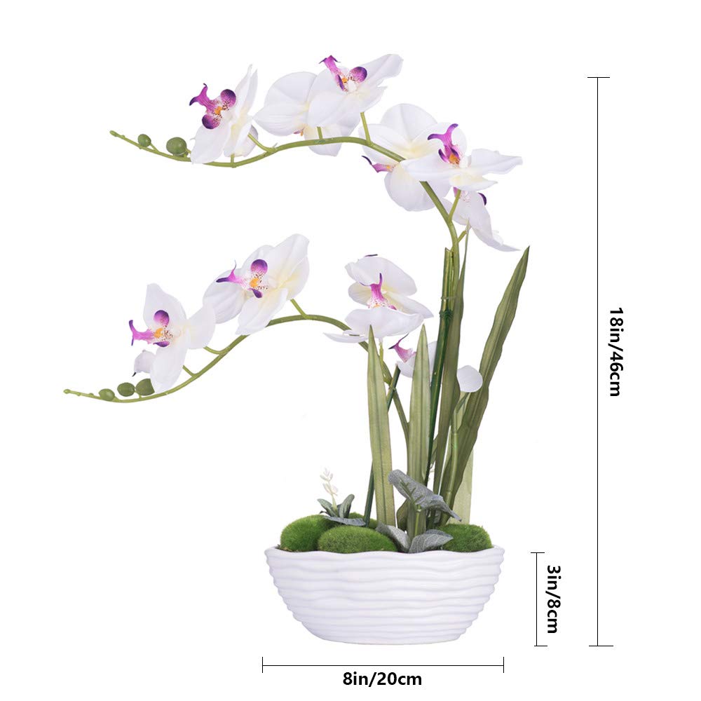Faux Orchid in Navy Ribbed Ceramic Pot