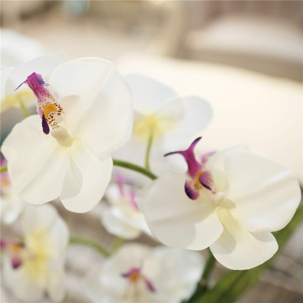 Faux Orchid in Navy Ribbed Ceramic Pot