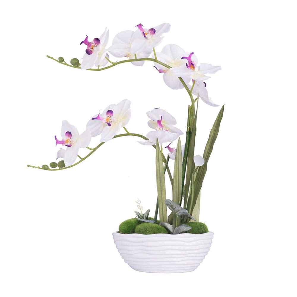 Faux Orchid in Navy Ribbed Ceramic Pot