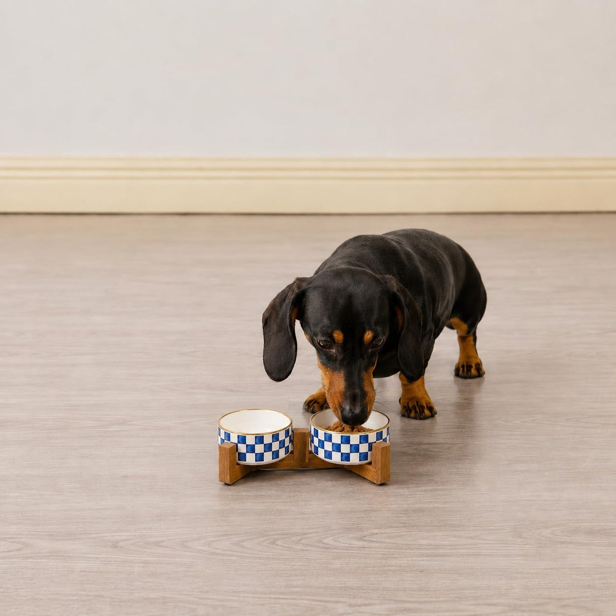 Blue and White Checkered Ceramic Dog Bowls