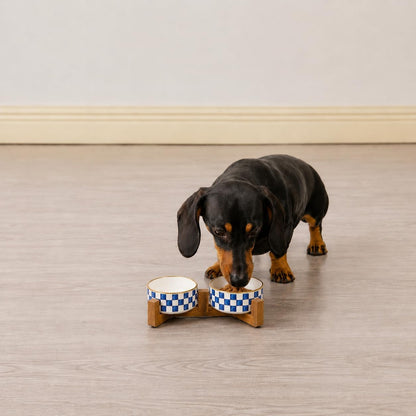 Blue and White Checkered Ceramic Dog Bowls