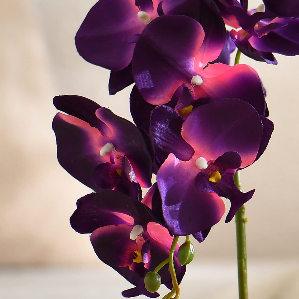 Faux Orchid in Navy Ribbed Ceramic Pot