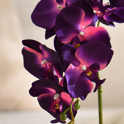 Faux Orchid in Navy Ribbed Ceramic Pot