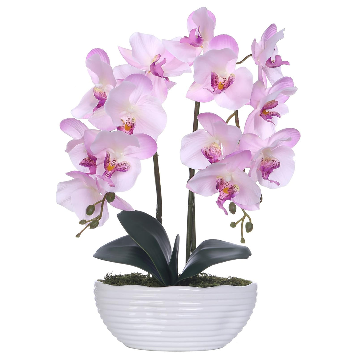 Faux Orchid in Navy Ribbed Ceramic Pot