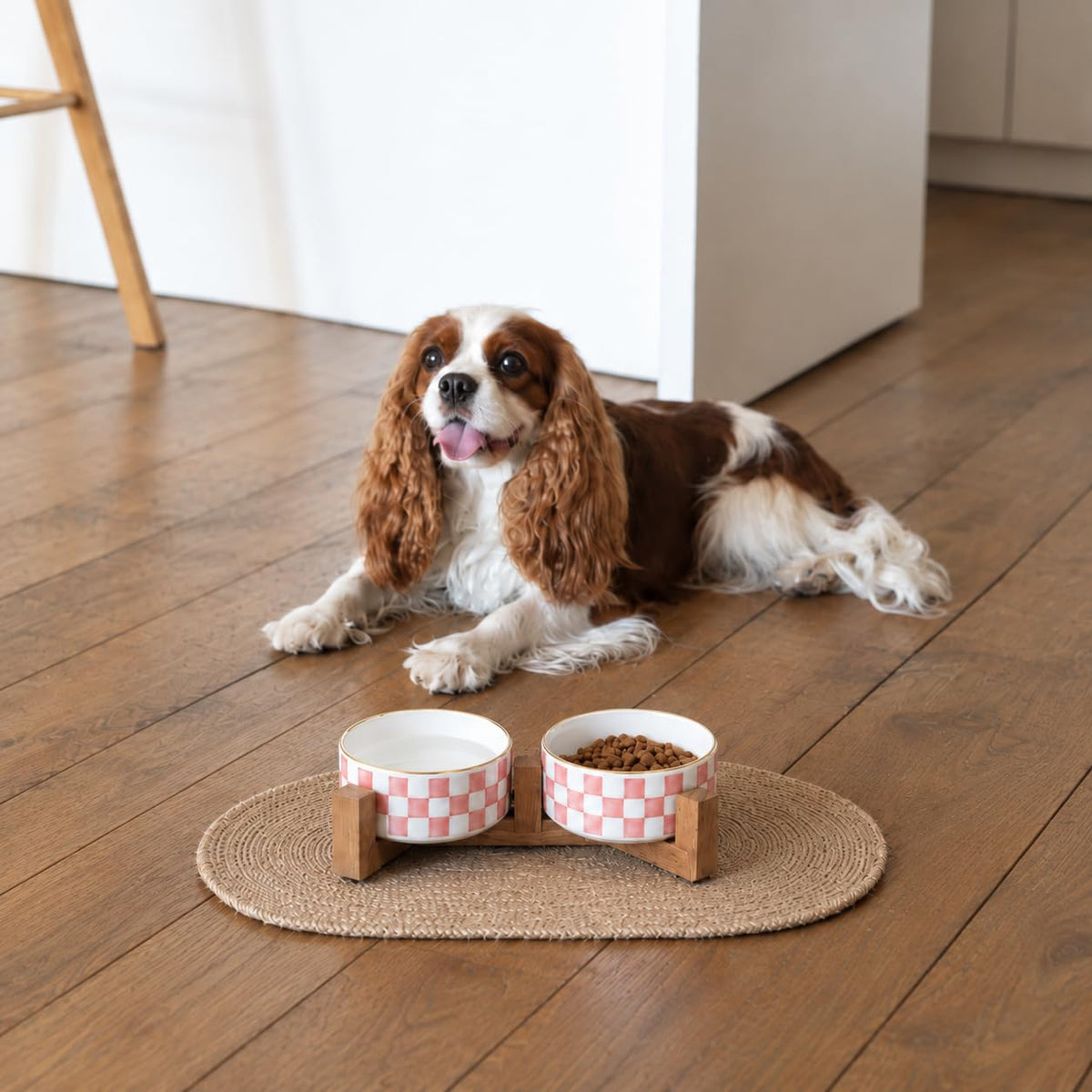 Blue and White Checkered Ceramic Dog Bowls