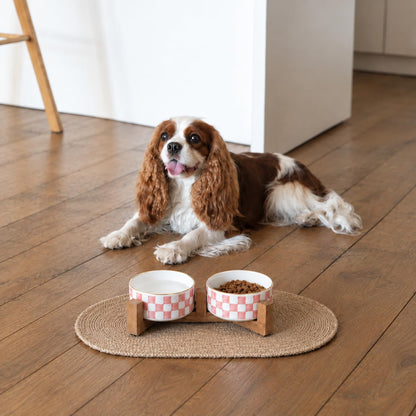 Blue and White Checkered Ceramic Dog Bowls