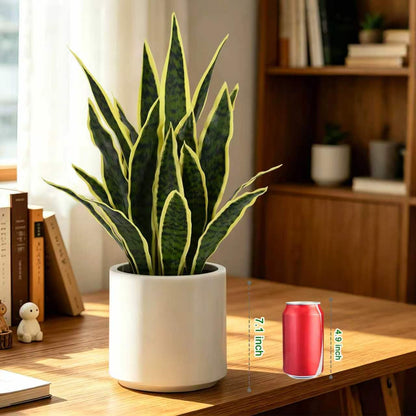 Faux White Orchid in Pot, 23 Inch