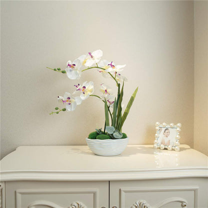 Faux Orchid in Navy Ribbed Ceramic Pot