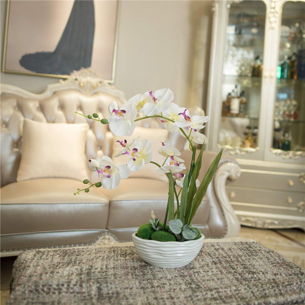 Faux Orchid in Navy Ribbed Ceramic Pot