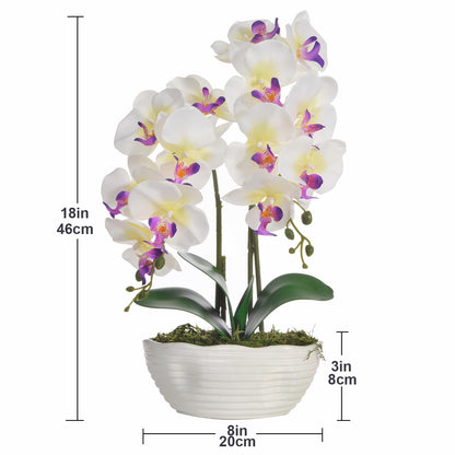 Faux Orchid in Navy Ribbed Ceramic Pot