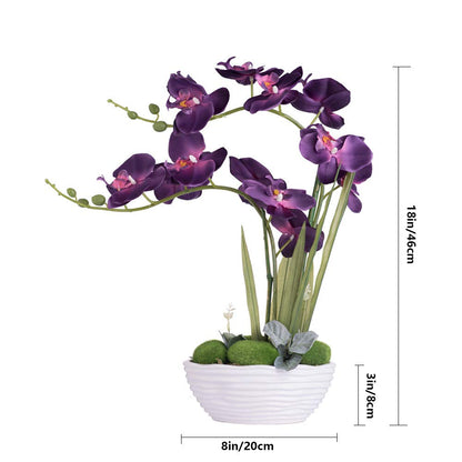Faux Orchid in Navy Ribbed Ceramic Pot