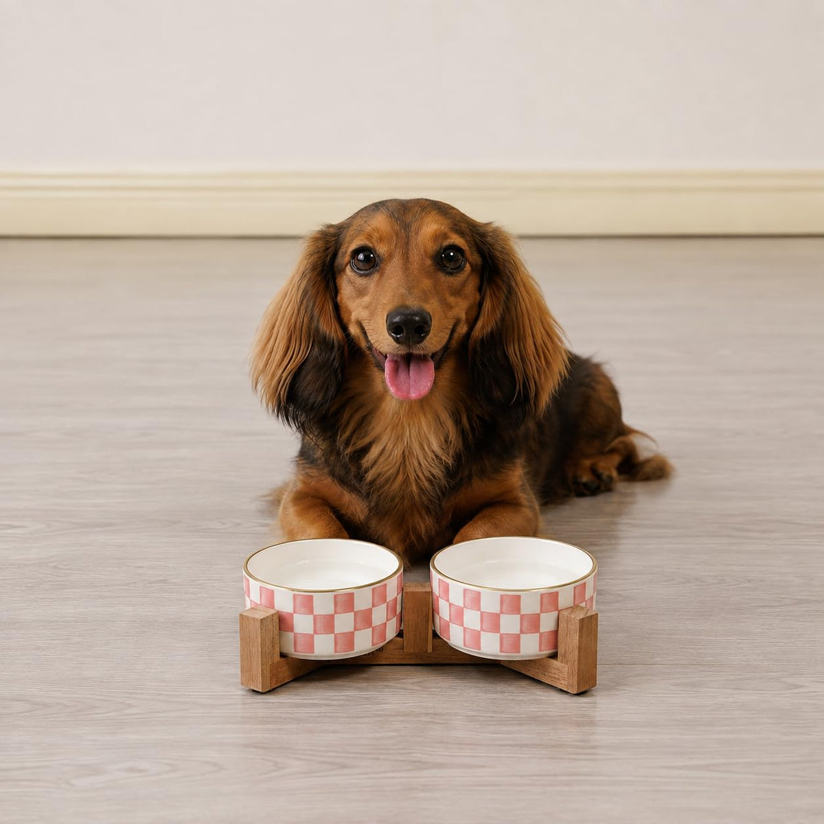 Blue and White Checkered Ceramic Dog Bowls