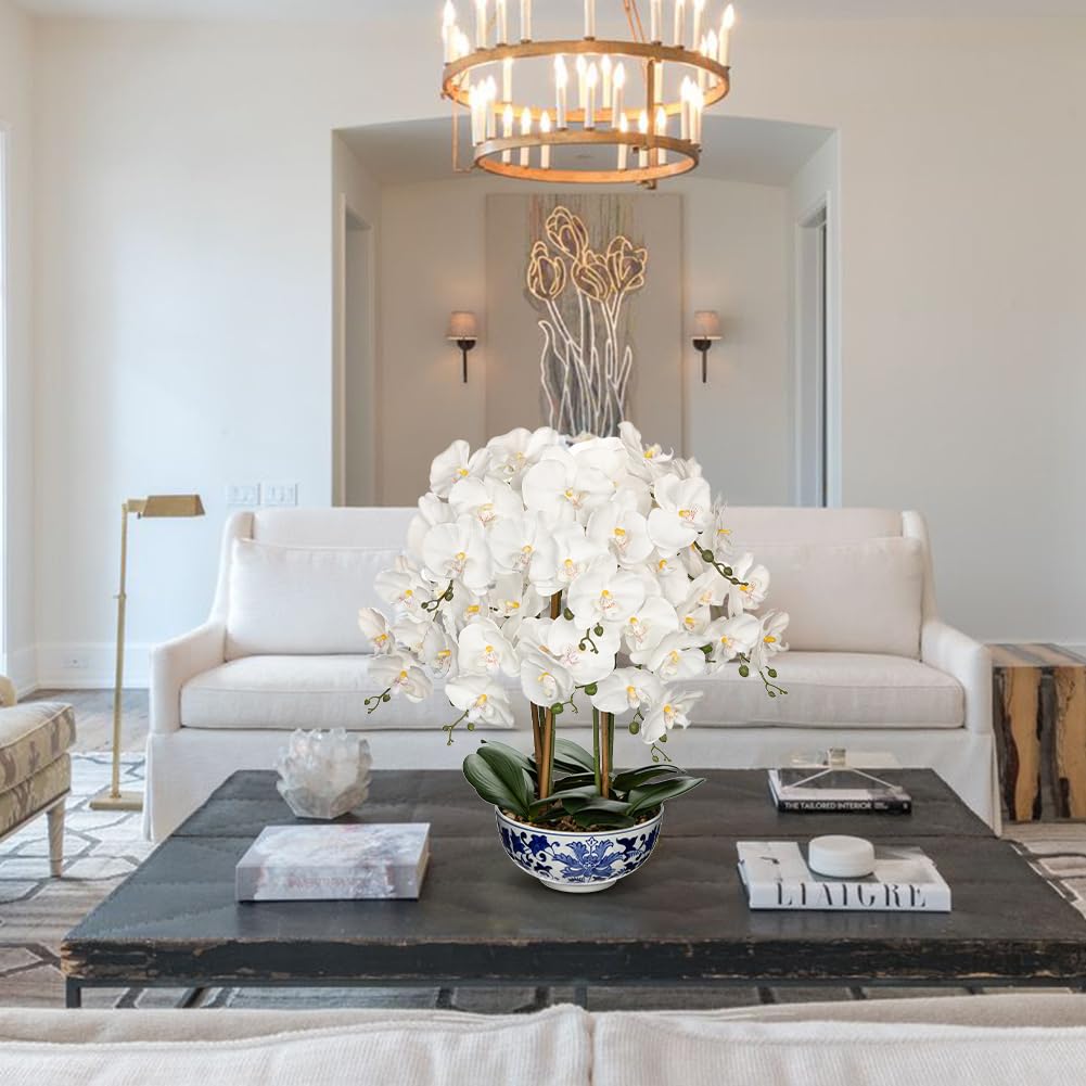 Briful White Orchid in Blue and White Porcelain Pot