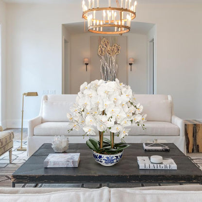 Briful White Orchid in Blue and White Porcelain Pot