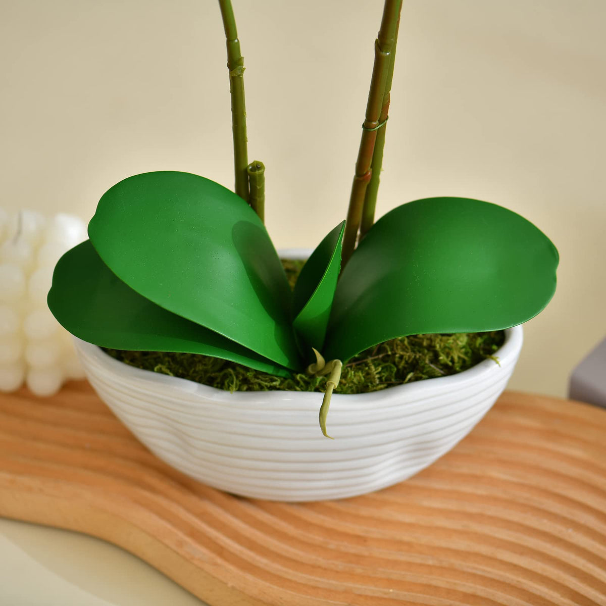 Faux Orchid in Navy Ribbed Ceramic Pot