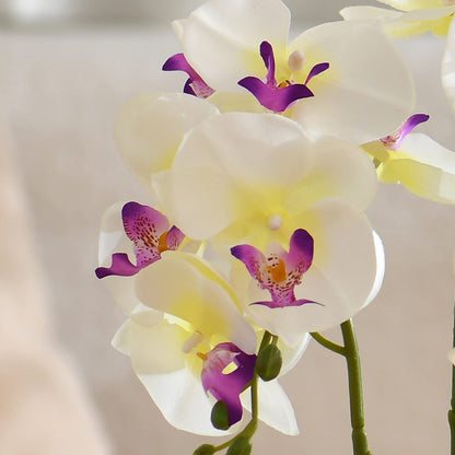 Faux Orchid in Navy Ribbed Ceramic Pot
