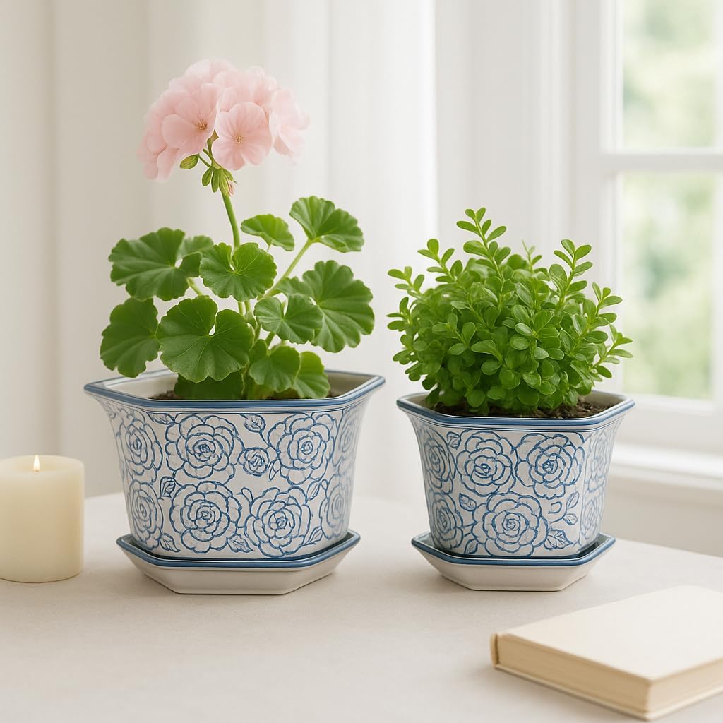 Blue and White Chinoiserie Planters with Saucers, Set of 2