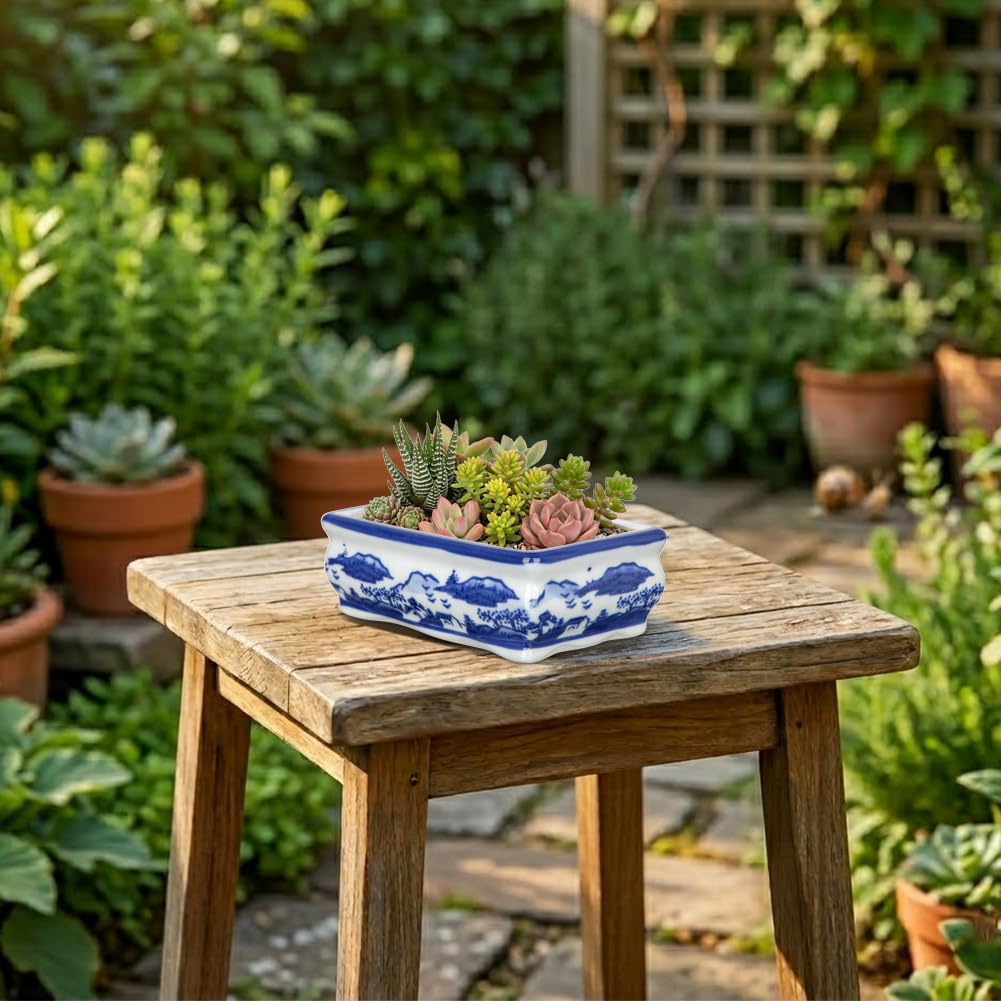 Blue and White Bonsai Pots, Set of 2
