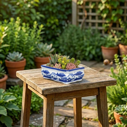 Blue and White Bonsai Pots, Set of 2