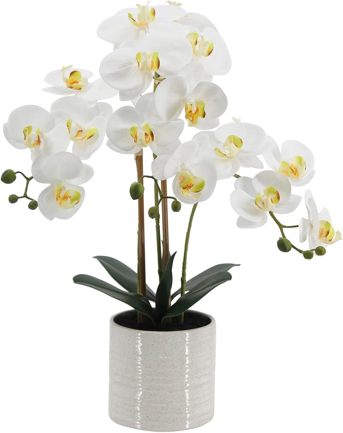 Faux White Orchid in Pot, 23 Inch