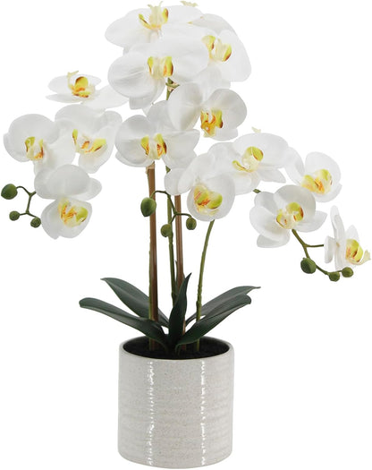 Faux White Orchid in Pot, 23 Inch