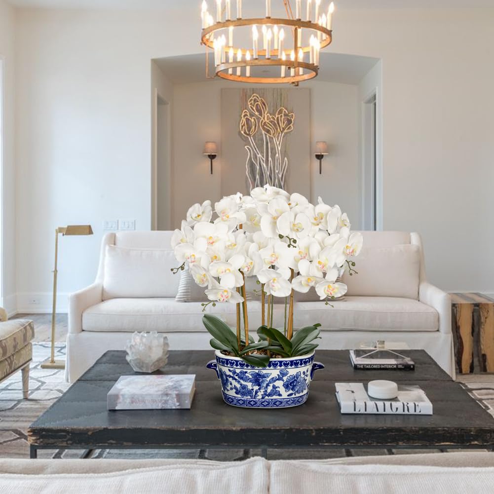 Briful White Orchid in Blue and White Porcelain Pot