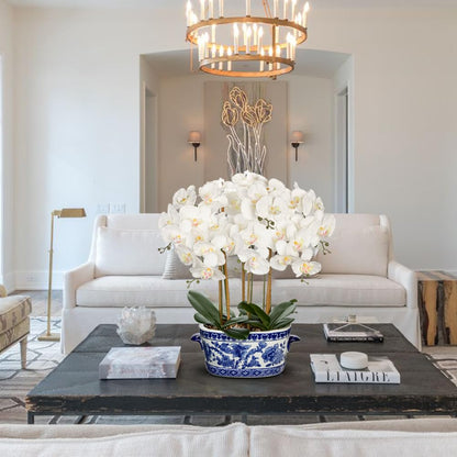 Briful White Orchid in Blue and White Porcelain Pot