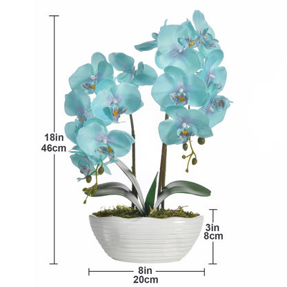 Faux Orchid in Navy Ribbed Ceramic Pot