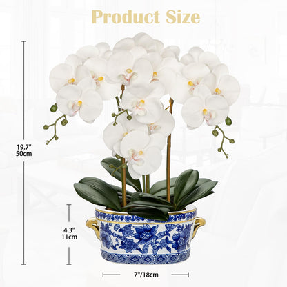 Briful White Orchid in Blue and White Porcelain Pot