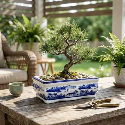 Blue and White Bonsai Pots, Set of 2