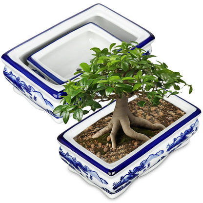 Blue and White Bonsai Pots, Set of 2