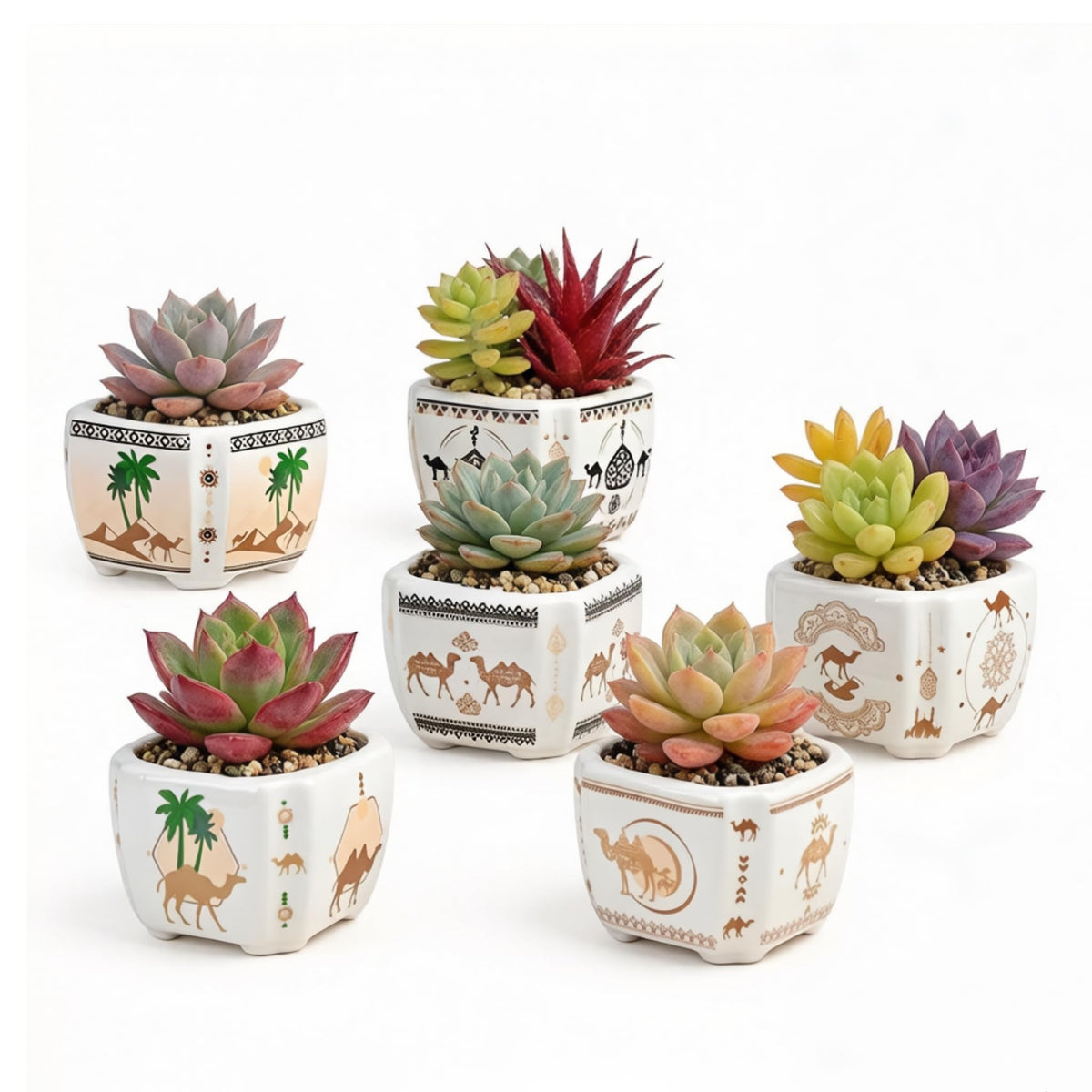 Blue and White Succulent Planters, Set of 6