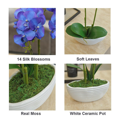 Faux Orchid in Navy Ribbed Ceramic Pot