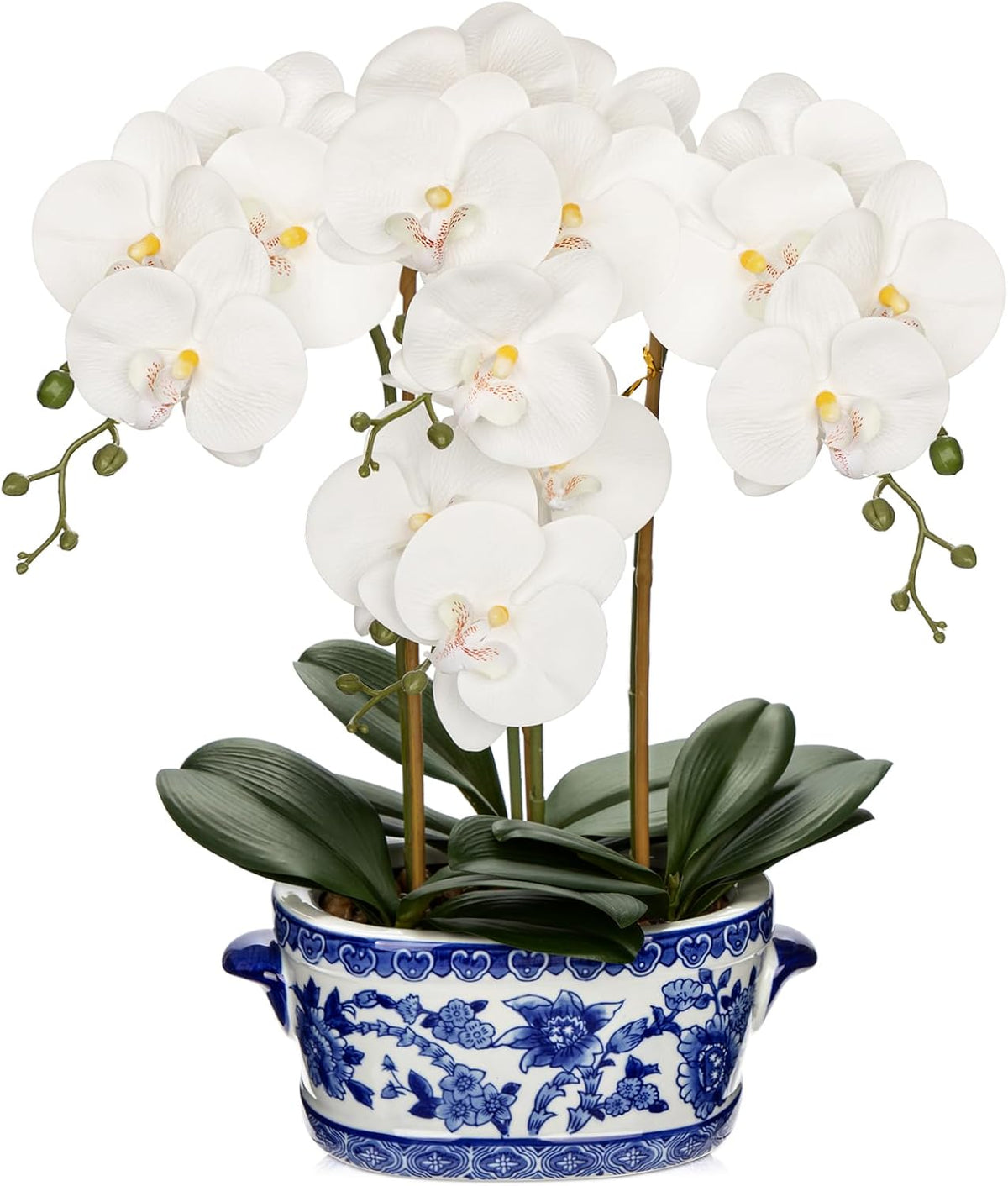 Briful White Orchid in Blue and White Porcelain Pot