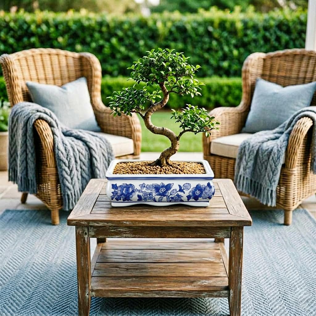Blue and White Bonsai Pots, Set of 2