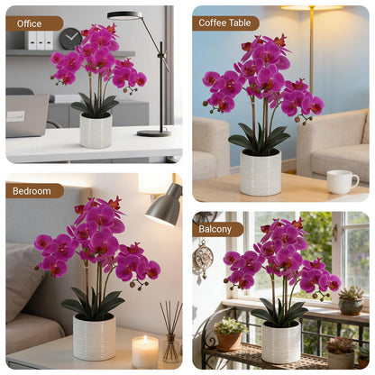 Faux White Orchid in Pot, 23 Inch