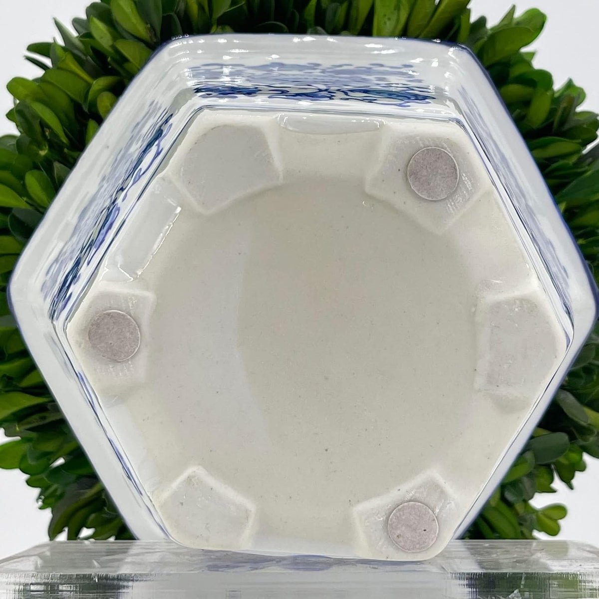 Preserved Boxwood Ball in Blue and White Pot