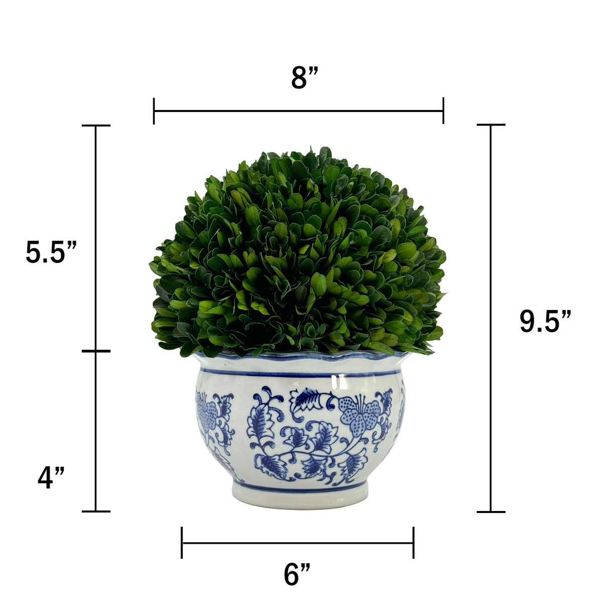 Preserved Boxwood Ball in Blue and White Pot