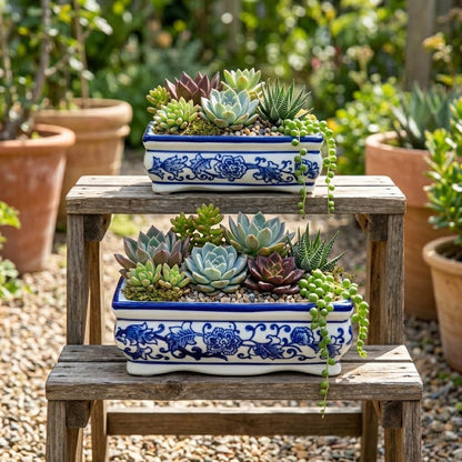 Blue and White Bonsai Pots, Set of 2