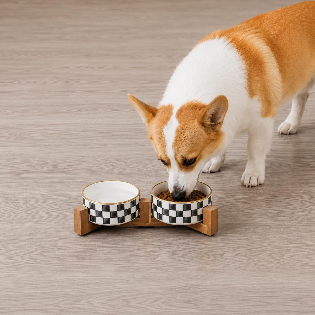 Blue and White Checkered Ceramic Dog Bowls