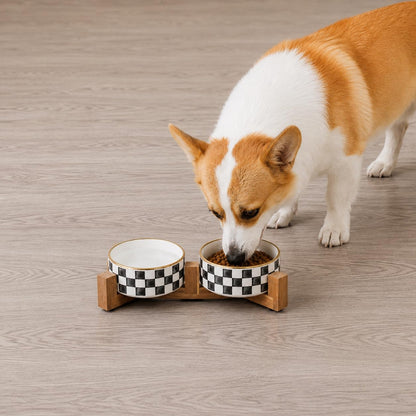 Blue and White Checkered Ceramic Dog Bowls