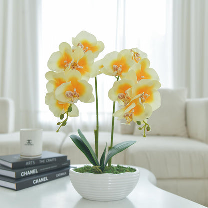 Faux Orchid in Navy Ribbed Ceramic Pot