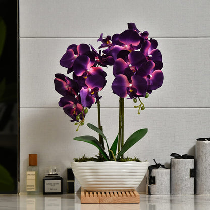Faux Orchid in Navy Ribbed Ceramic Pot
