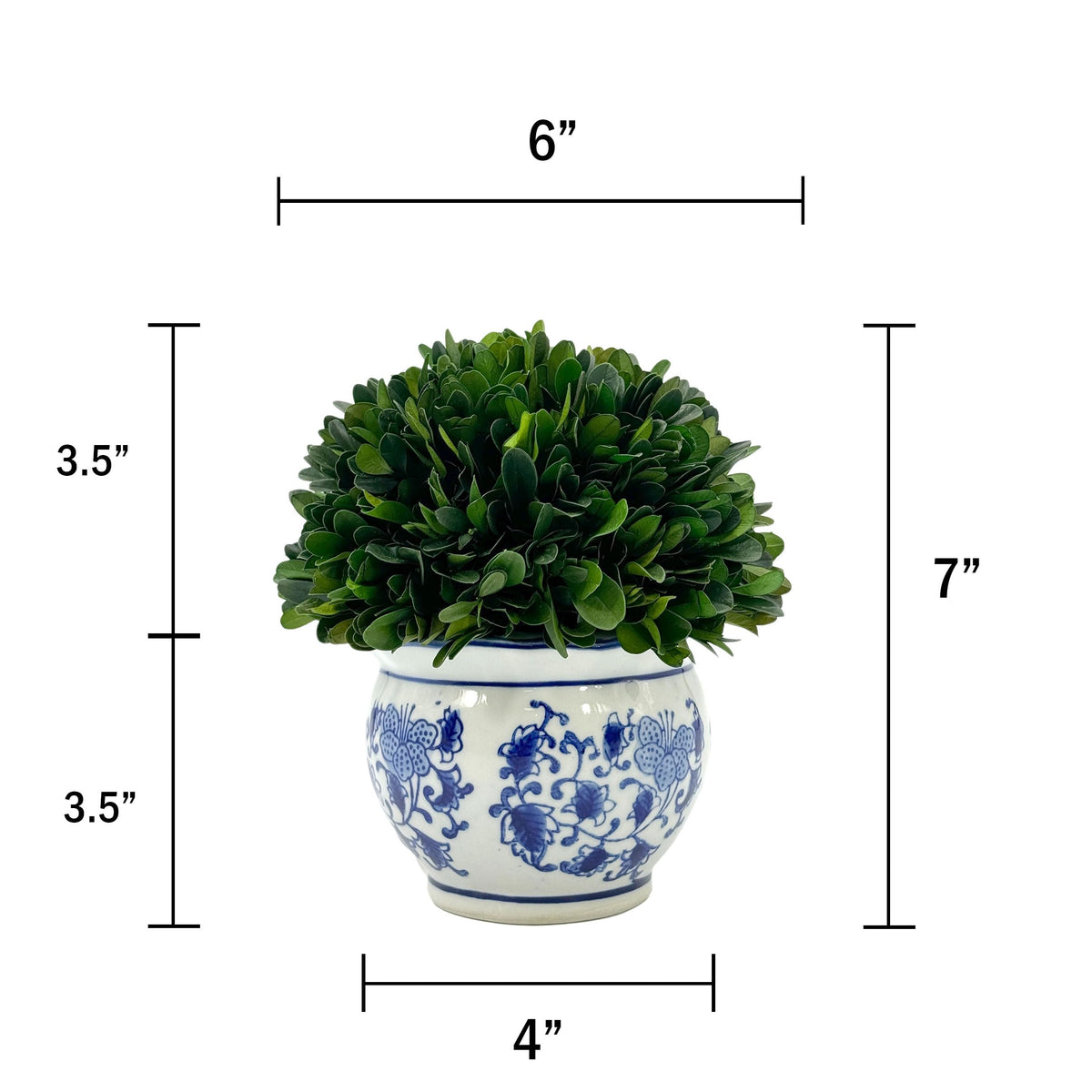 Preserved Boxwood Ball in Blue and White Pot