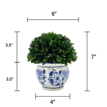 Preserved Boxwood Ball in Blue and White Pot