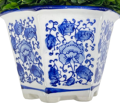 Preserved Boxwood Ball in Blue and White Pot