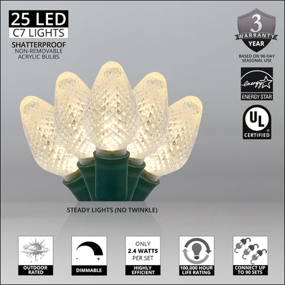 Blue C9 LED Christmas Light Set, 25 Bulbs
