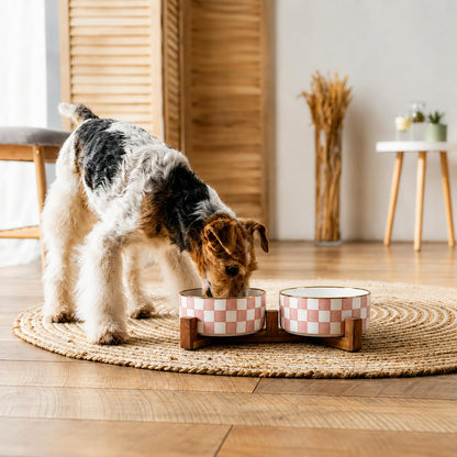 Blue and White Checkered Ceramic Dog Bowls