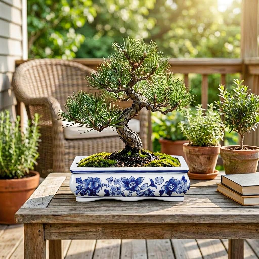 Blue and White Bonsai Pots, Set of 2