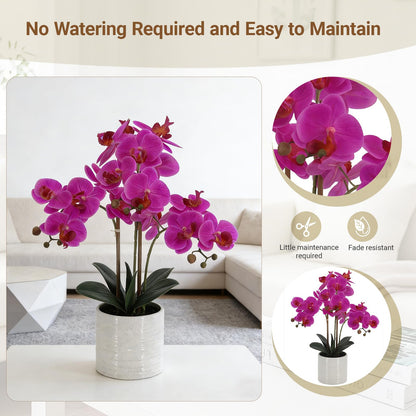 Faux White Orchid in Pot, 23 Inch